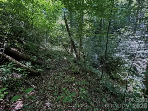 454 Forest Brook Road Black Mountain NC 28711