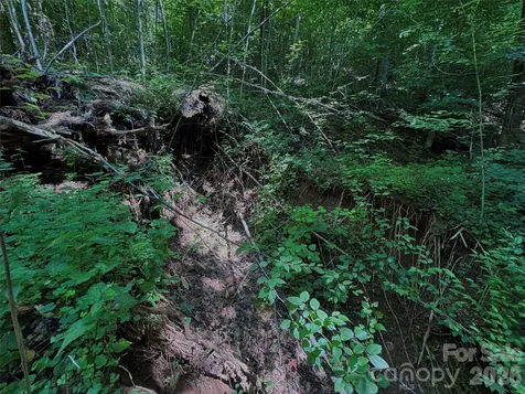 454 Forest Brook Road Black Mountain NC 28711