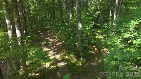 454 Forest Brook Road Black Mountain NC 28711