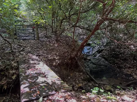 454 Forest Brook Road Black Mountain NC 28711