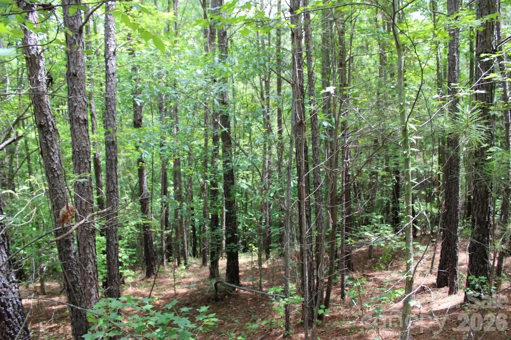 000 John Watson Road Rutherfordton NC 28139