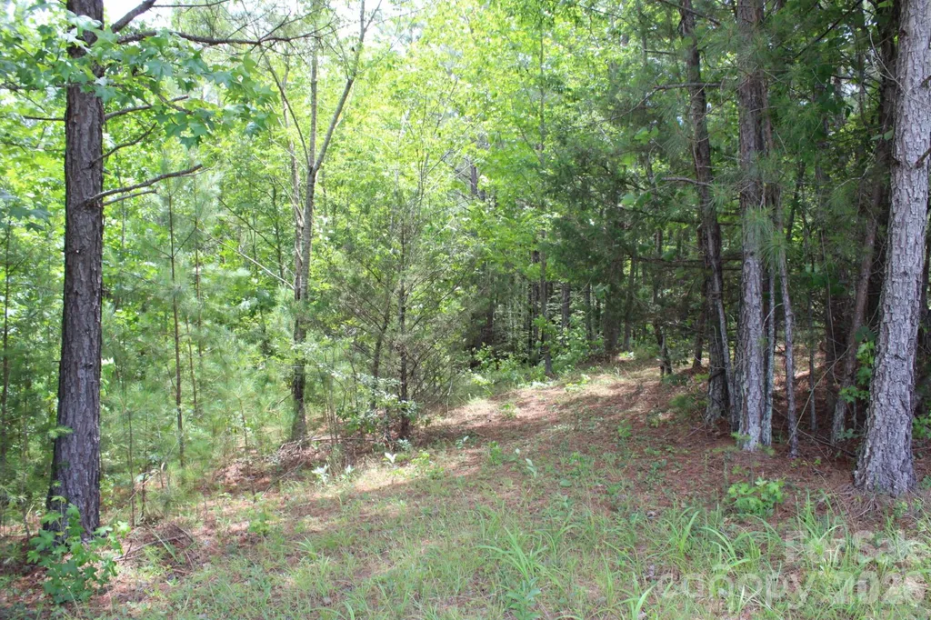 000 John Watson Road Rutherfordton NC 28139
