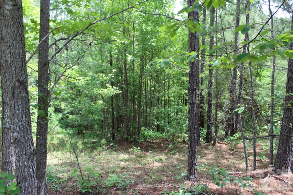 000 John Watson Road Rutherfordton NC 28139
