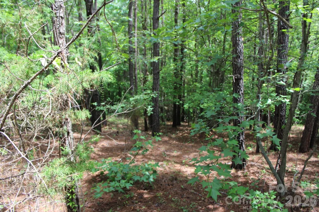 000 John Watson Road Rutherfordton NC 28139
