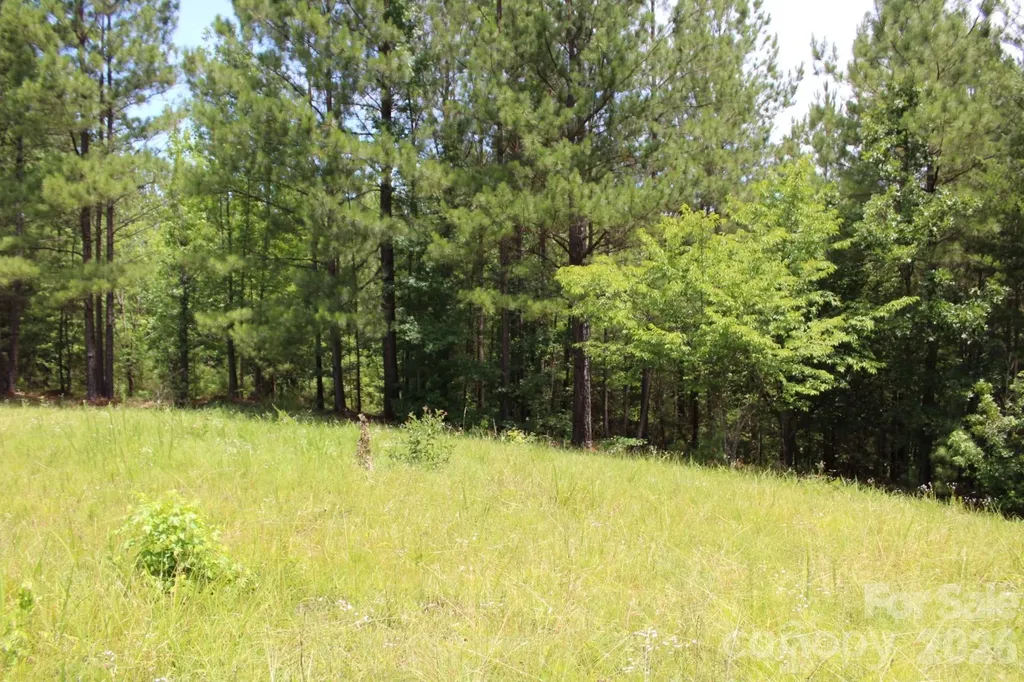 000 John Watson Road Rutherfordton NC 28139