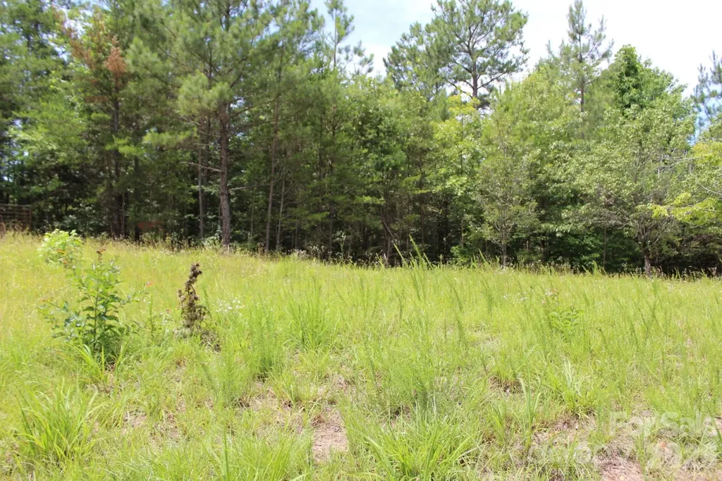 000 John Watson Road Rutherfordton NC 28139