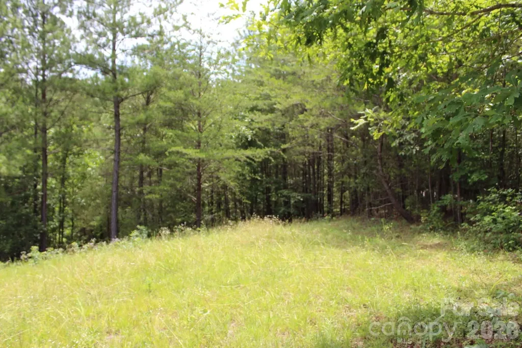 000 John Watson Road Rutherfordton NC 28139