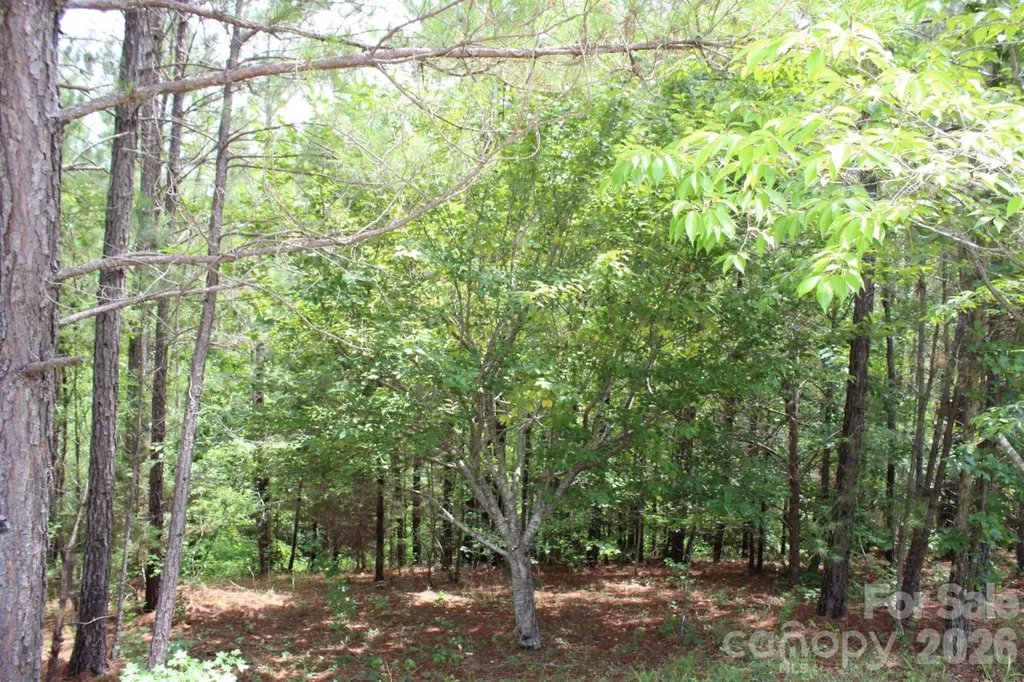 000 John Watson Road Rutherfordton NC 28139