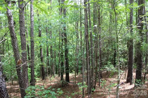 000 John Watson Road Rutherfordton NC 28139
