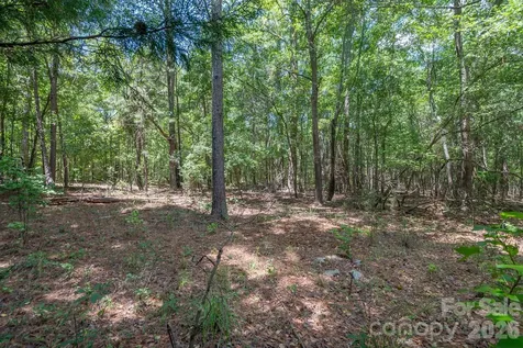 72 Thurman Garage Lane Jefferson SC 29718
