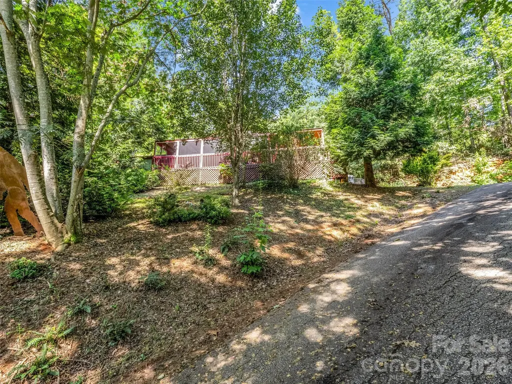 771 Bishop Lane Mill Spring NC 28756
