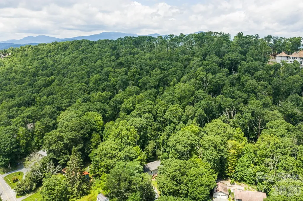 100 Summersweet Drive Banner Elk NC 28604