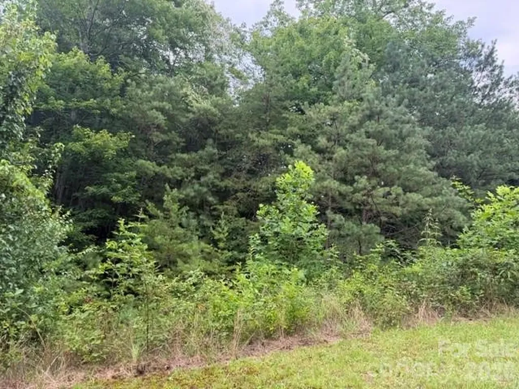 12 Silverstone Drive Hendersonville NC 28792