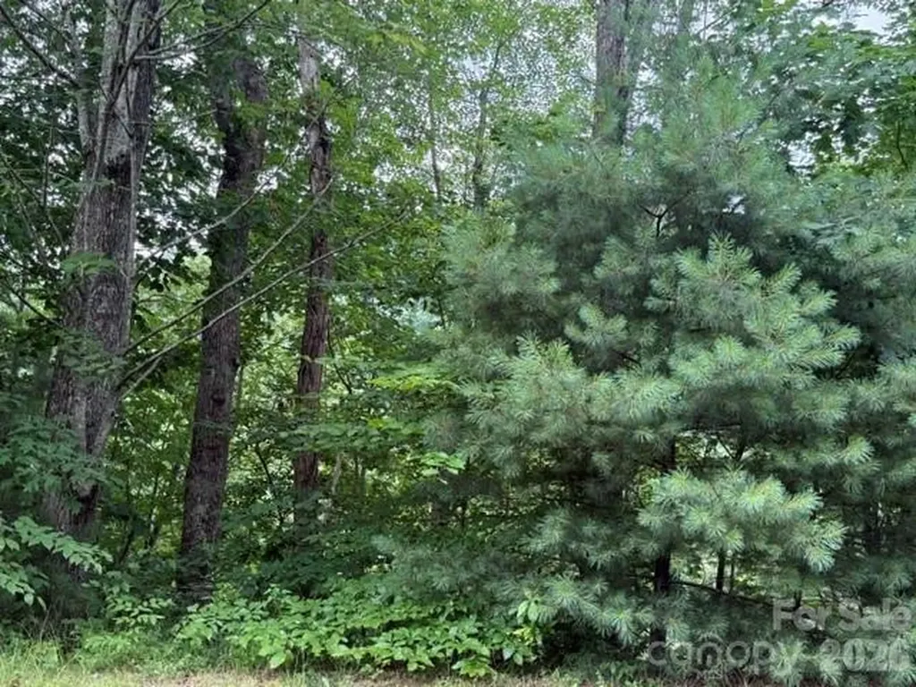 12 Silverstone Drive Hendersonville NC 28792