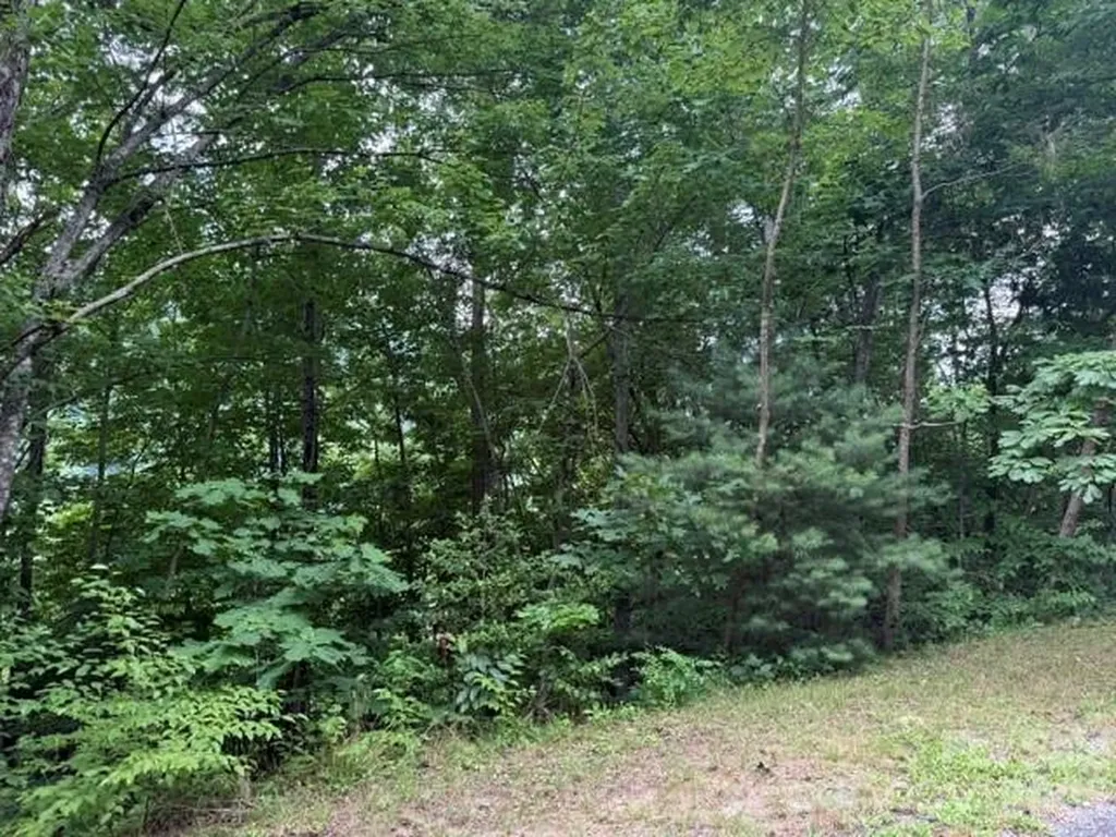 12 Silverstone Drive Hendersonville NC 28792