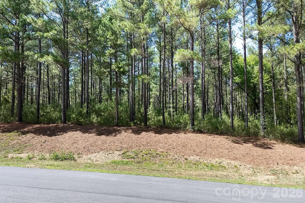 168 Plantation Way Mount Gilead NC 27306