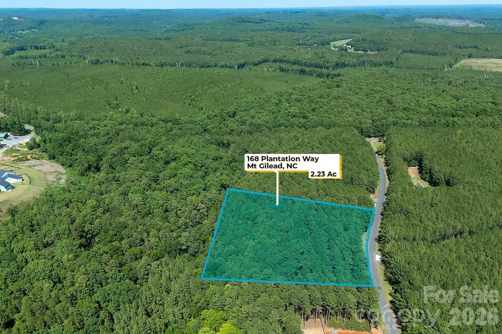 168 Plantation Way Mount Gilead NC 27306