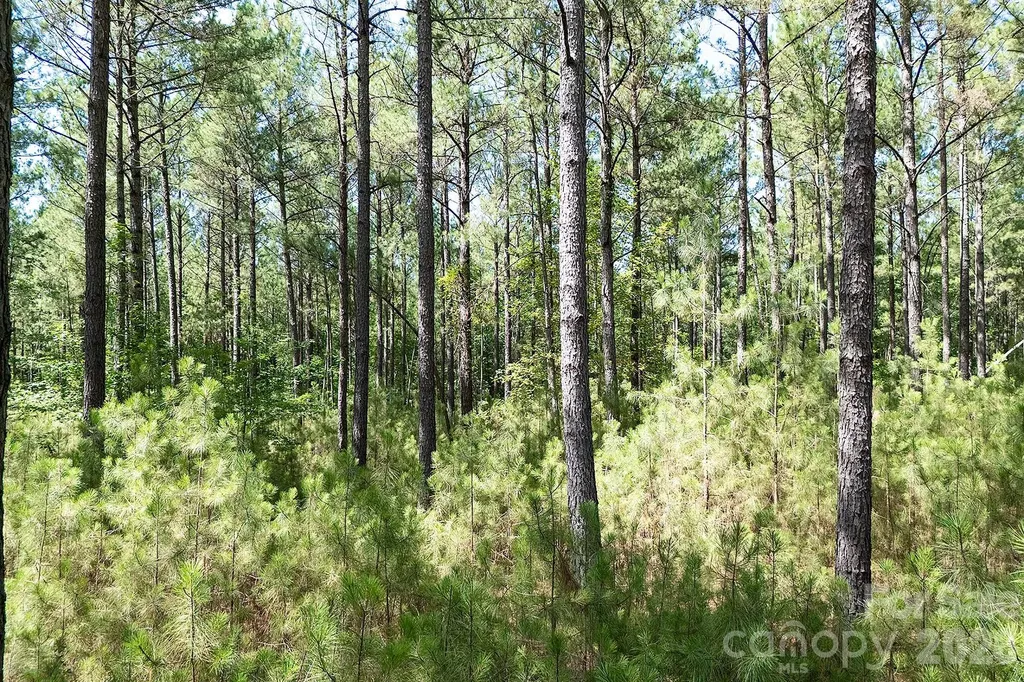 168 Plantation Way Mount Gilead NC 27306
