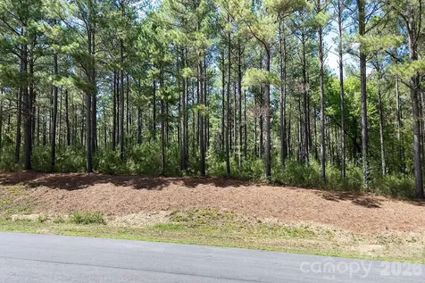 168 Plantation Way Mount Gilead NC 27306