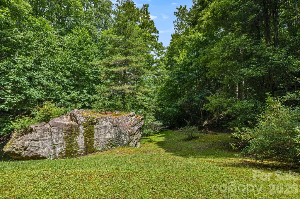 1390 Baltimore Branch Road Hot Springs NC 28743