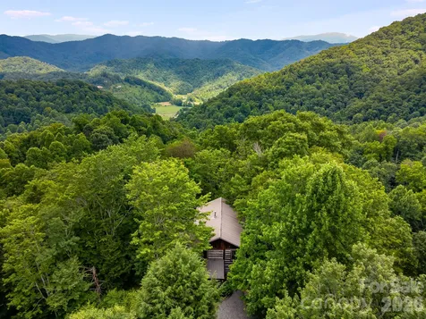 1390 Baltimore Branch Road Hot Springs NC 28743