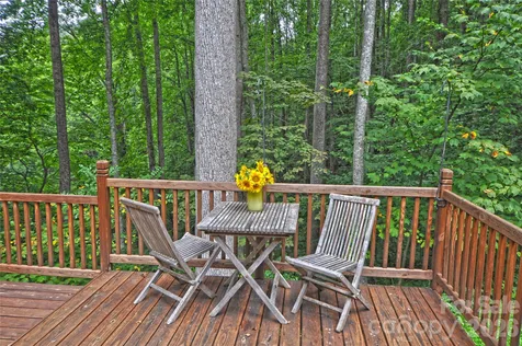 1390 Baltimore Branch Road Hot Springs NC 28743