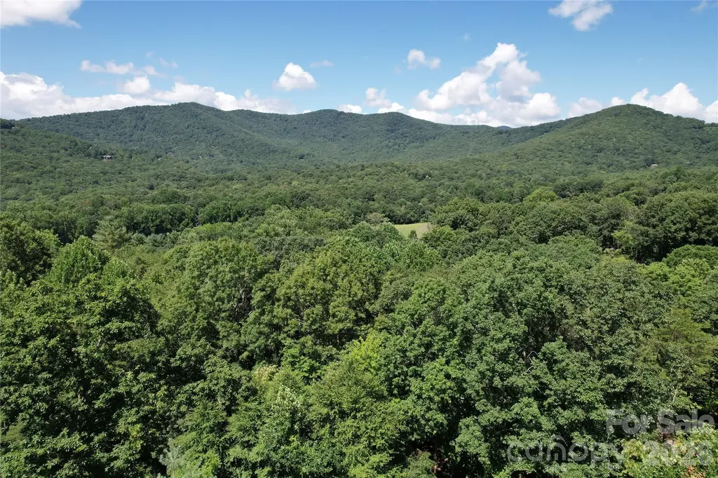 1545 Country View Way Arden NC 28704