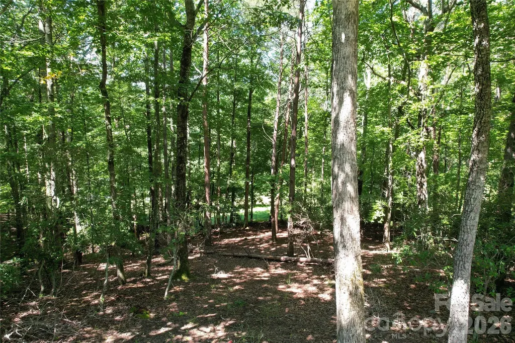 1545 Country View Way Arden NC 28704