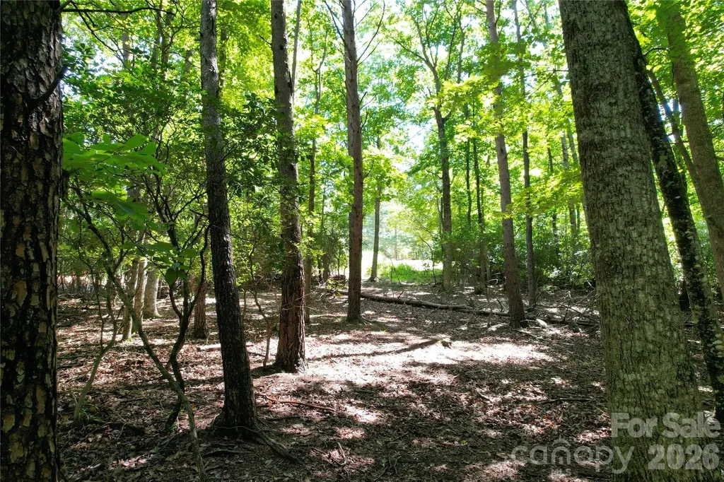 1545 Country View Way Arden NC 28704