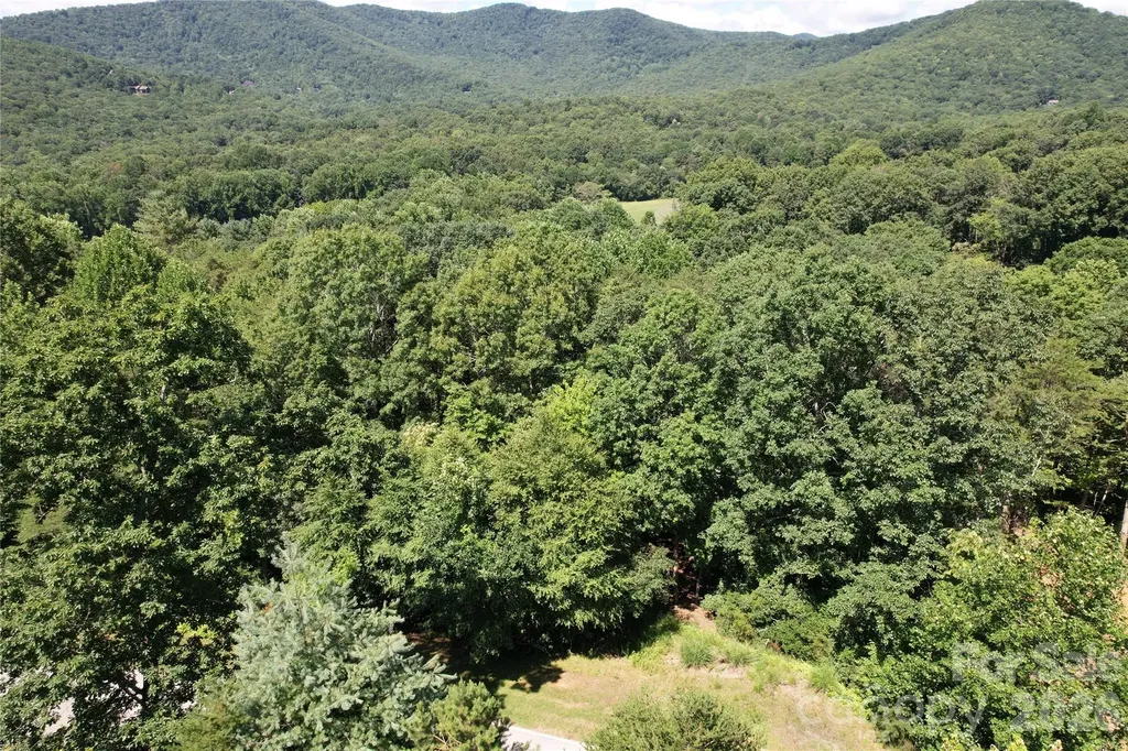 1545 Country View Way Arden NC 28704