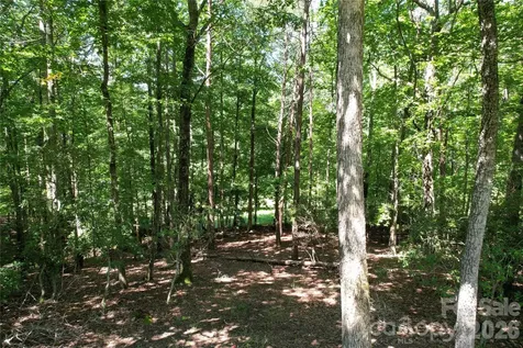 1545 Country View Way Arden NC 28704