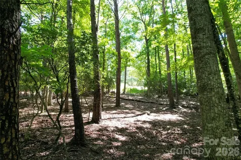 1545 Country View Way Arden NC 28704