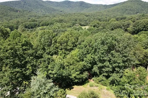 1545 Country View Way Arden NC 28704