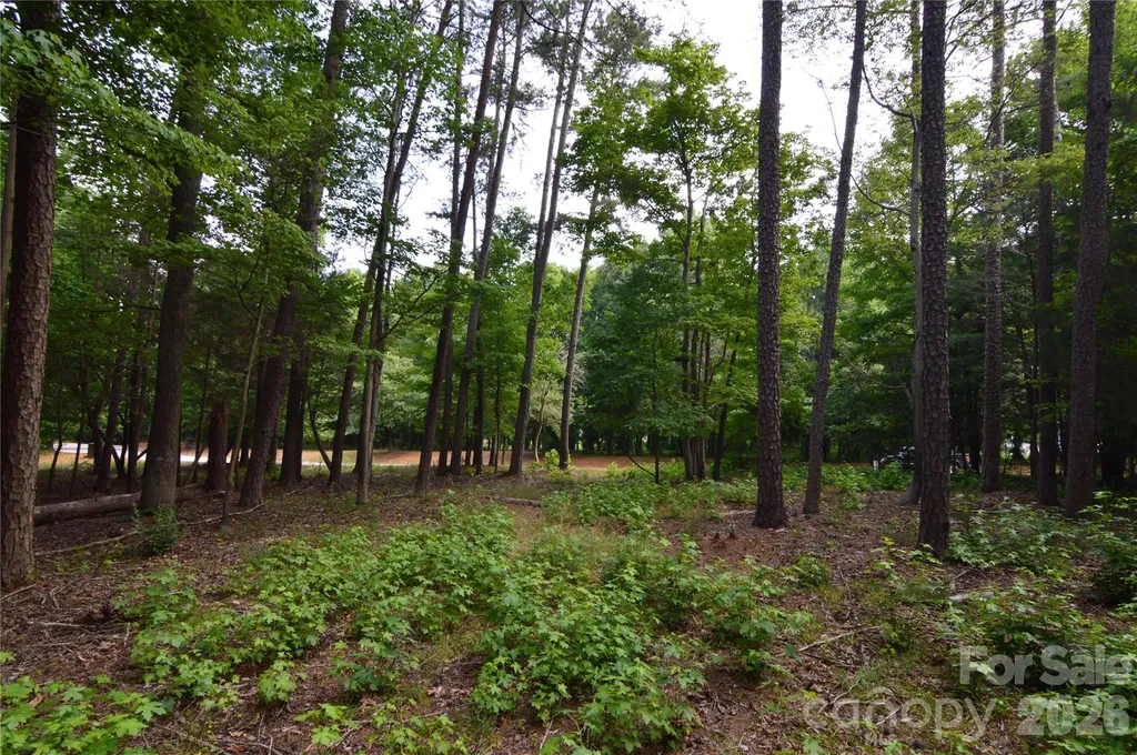8013 Water View Drive Belmont NC 28012
