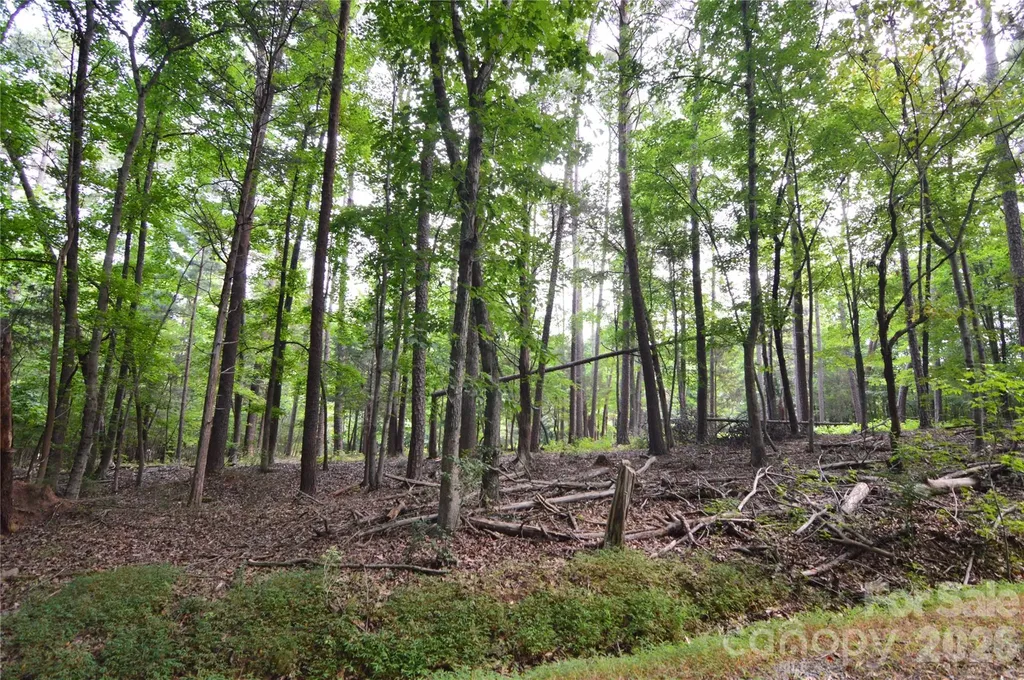 8013 Water View Drive Belmont NC 28012