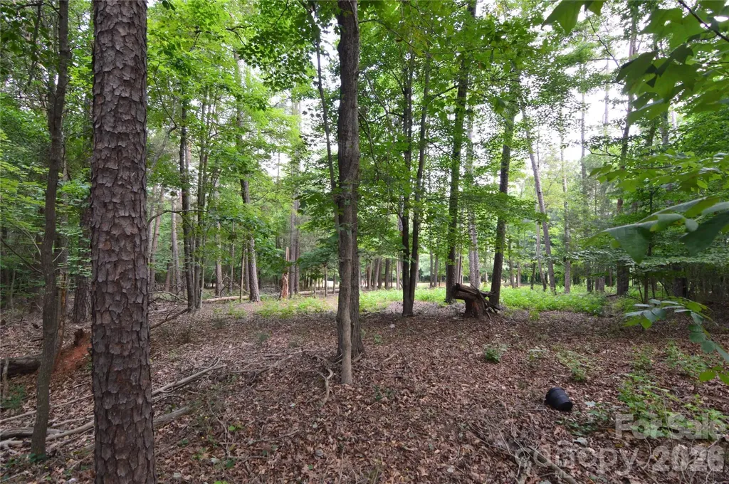 8013 Water View Drive Belmont NC 28012