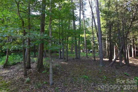 8013 Water View Drive Belmont NC 28012