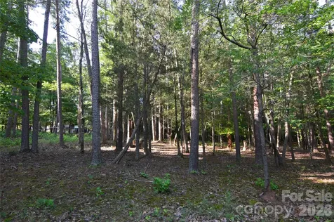 8013 Water View Drive Belmont NC 28012