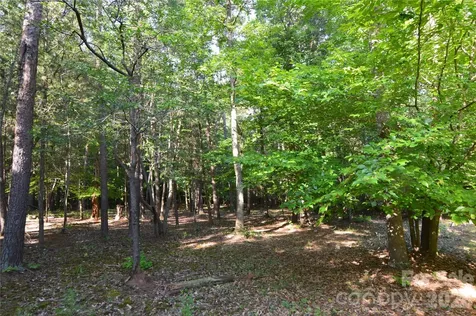 8013 Water View Drive Belmont NC 28012