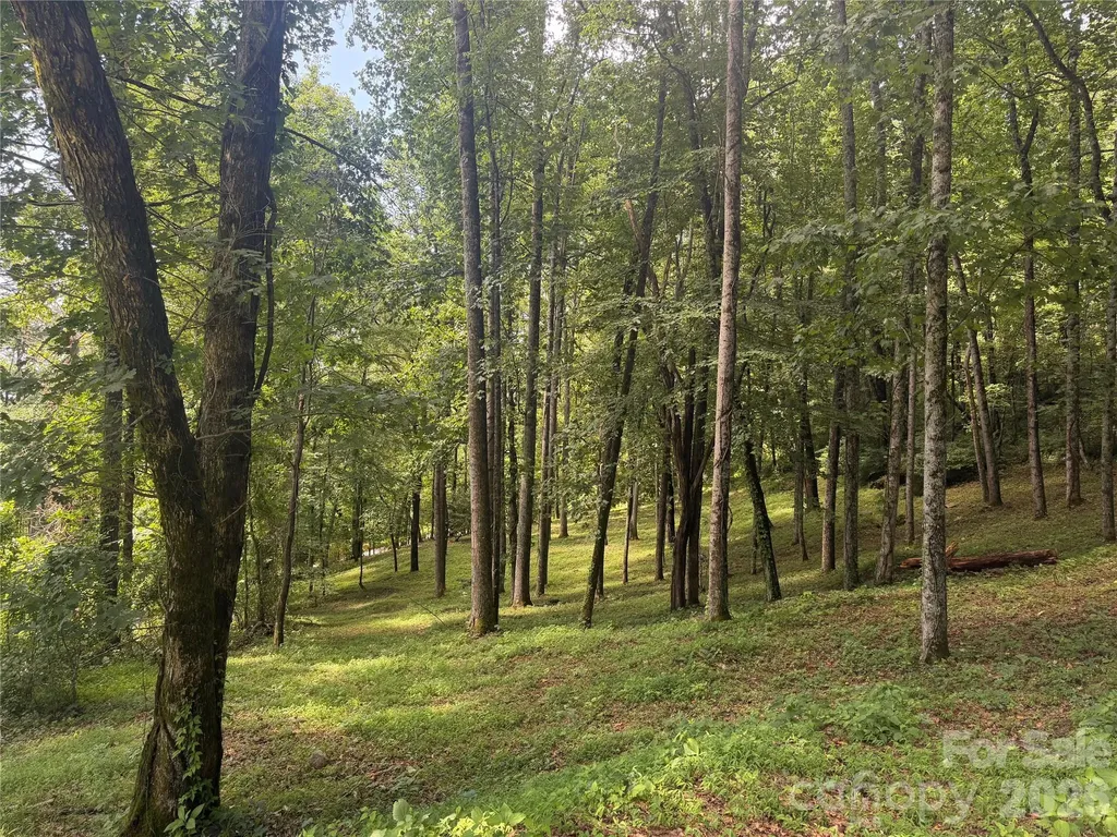 89 Split Rock Trail Arden NC 28704