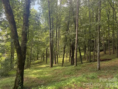 89 Split Rock Trail Arden NC 28704