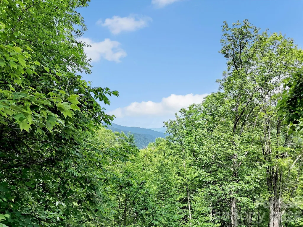 3214 Big Laurel Road Waynesville NC 28785