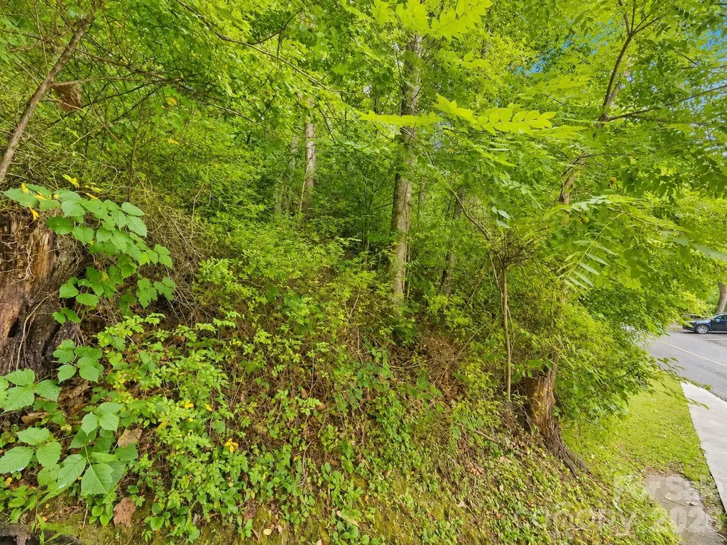 350 Mountain View Drive Maggie Valley NC 28751