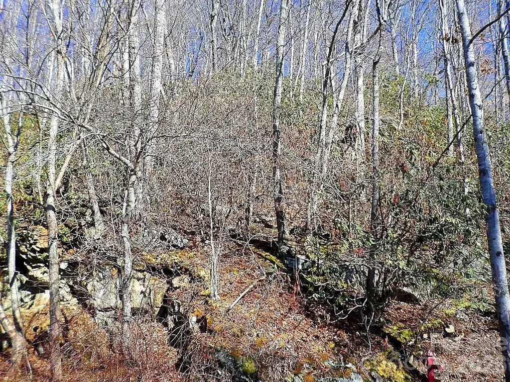 350 Mountain View Drive Maggie Valley NC 28751