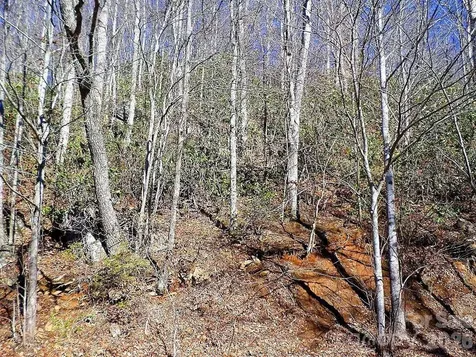 350 Mountain View Drive Maggie Valley NC 28751
