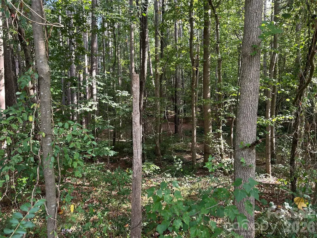 00 Knottywood Lane Vale NC 28168