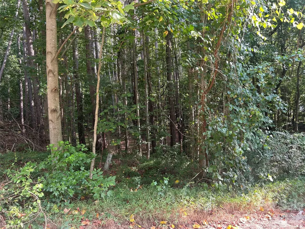 00 Knottywood Lane Vale NC 28168
