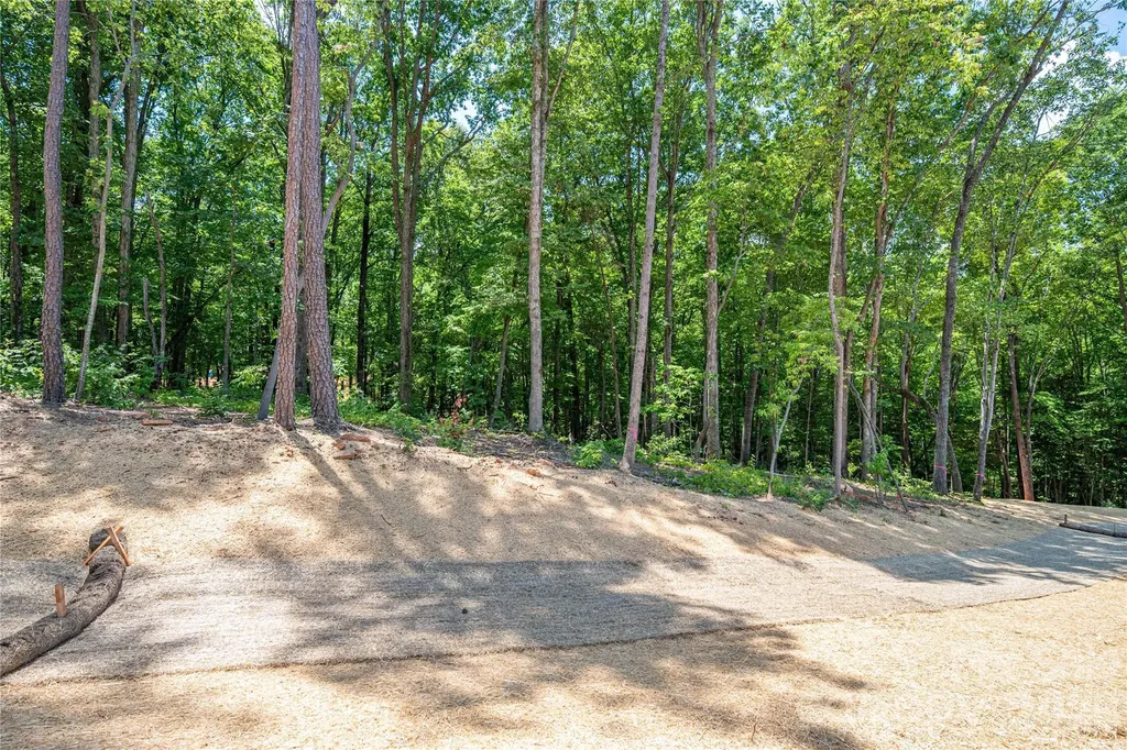 6202 Pineside Drive Denver NC 28037