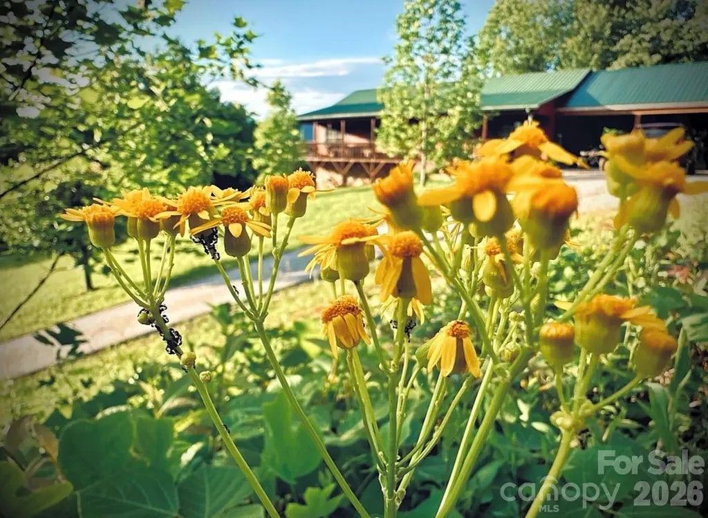 3430 Tranquil Hills Drive Lenoir NC 28645