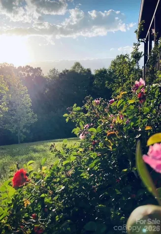 3430 Tranquil Hills Drive Lenoir NC 28645